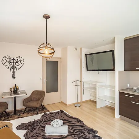 Voltaire Elephant - 5 Min Hypercentre - Parking Prive Apartmán *